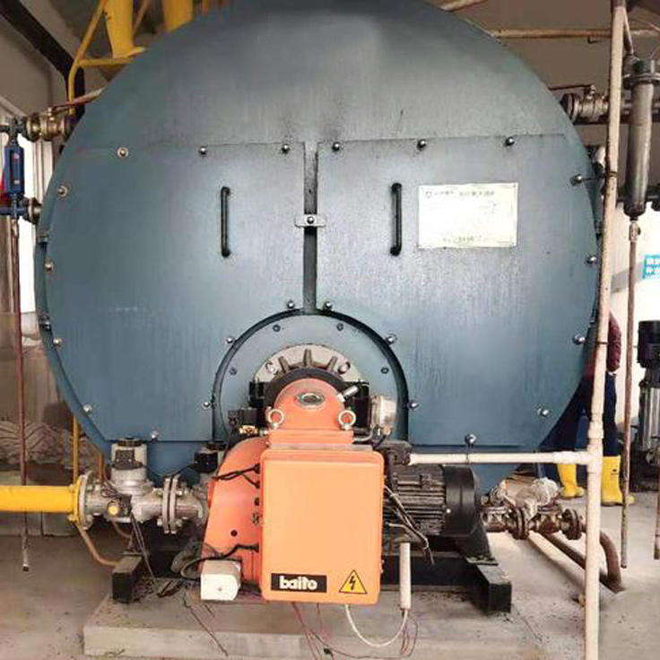沼气蒸汽锅炉
